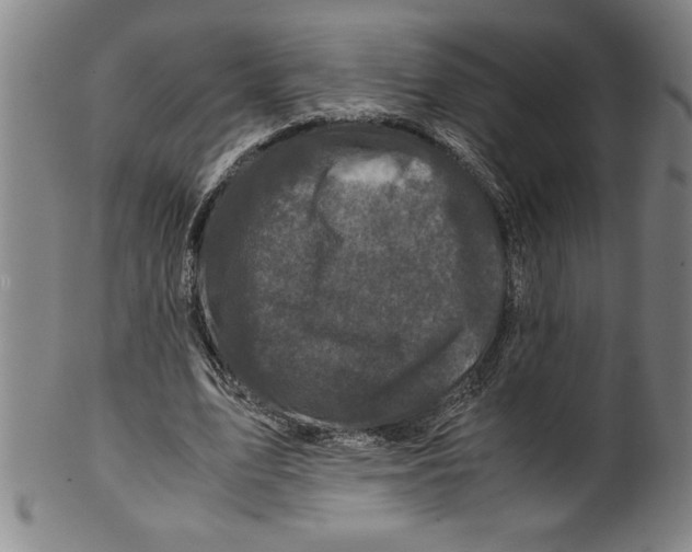 X0000099470583200806061222