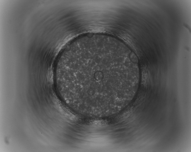 X0000099470584200806061222