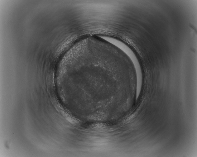 X0000099470589200806061222