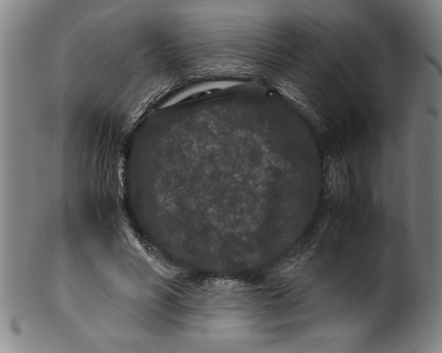 X0000099470590200806061222