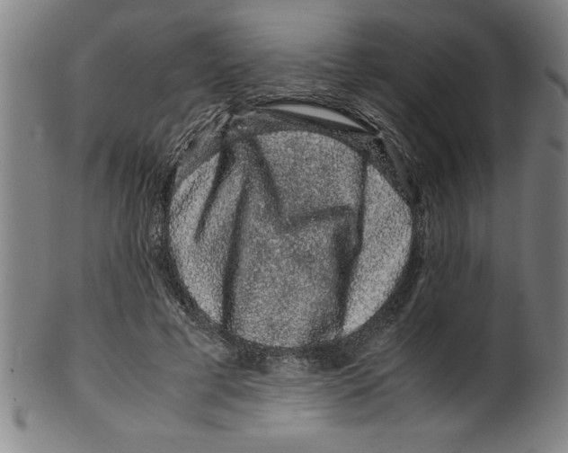 X0000099470593200806061222