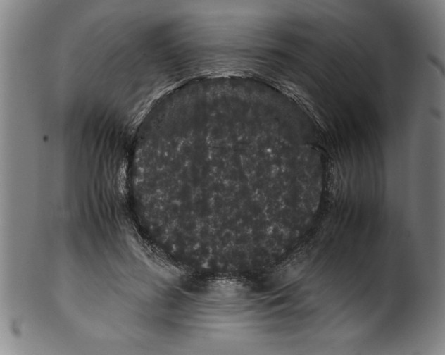 X0000099470596200806061222