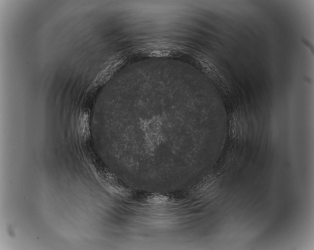 X0000099470598200806061222