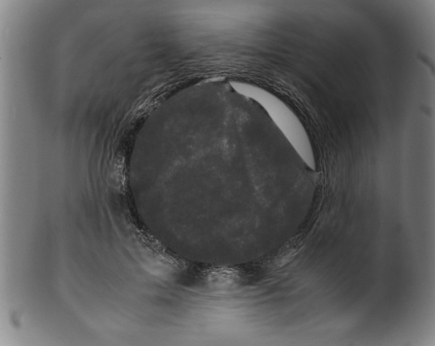 X0000099470599200806061222