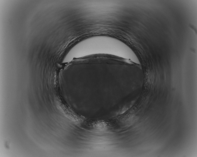 X0000099470600200806061222