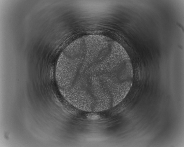 X0000099470602200806061222