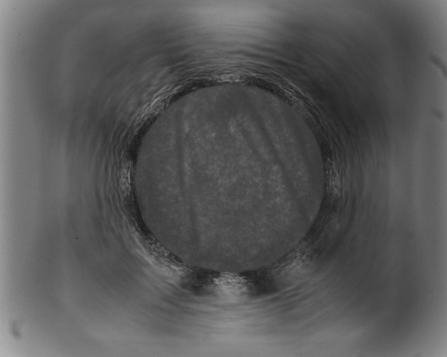 X0000099470603200806061222