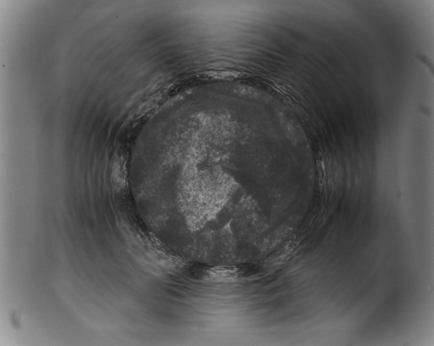 X0000099470606200806061222