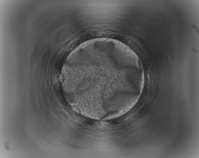 X0000099470607200806061222