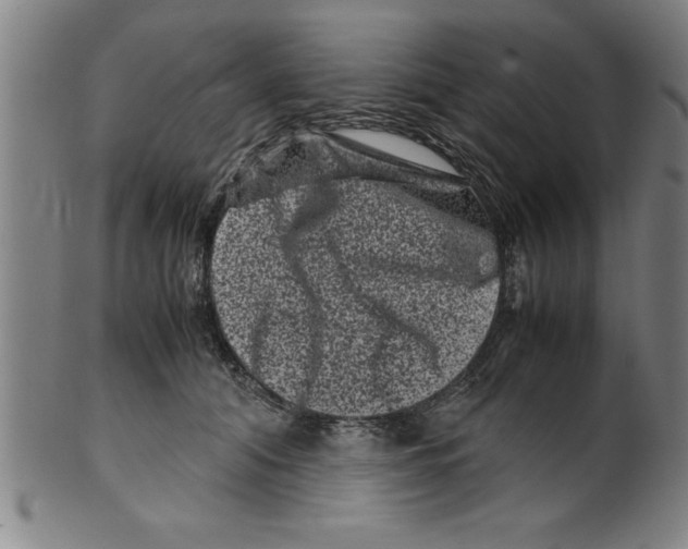 X0000099470608200806061222