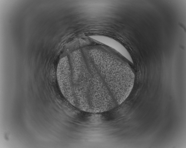 X0000099470609200806061222