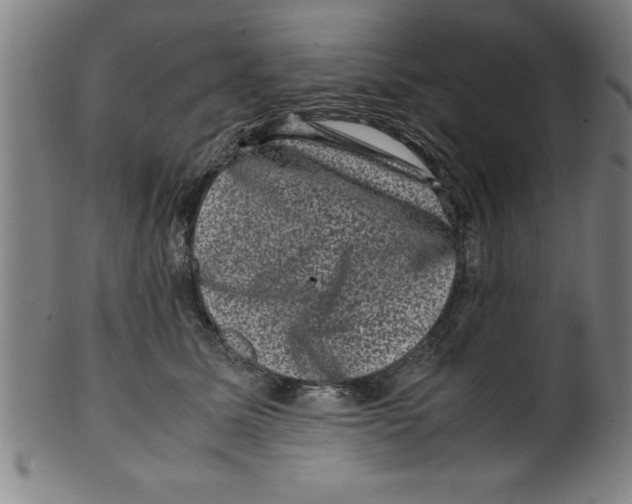 X0000099470611200806061222