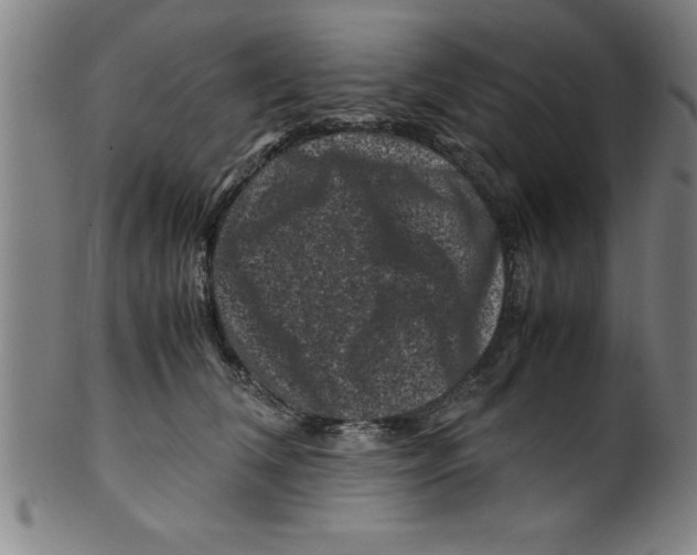 X0000099470612200806061221