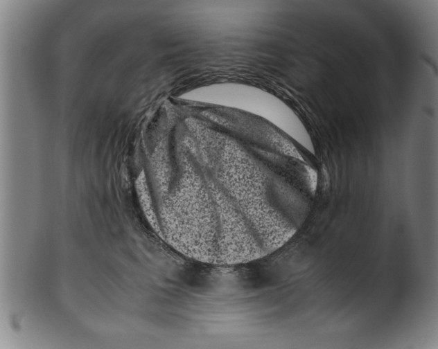 X0000099470613200806061221