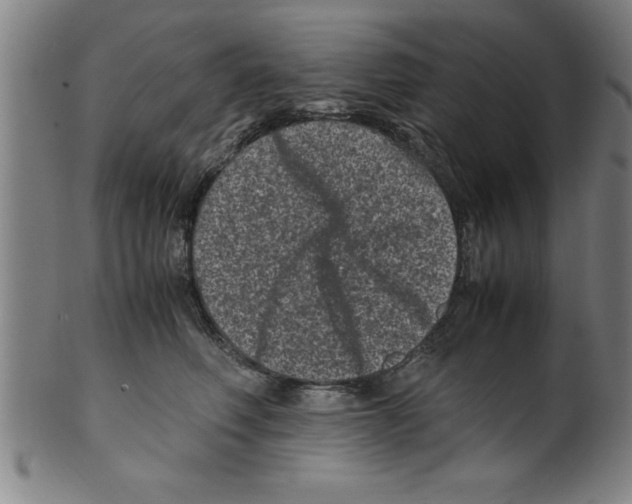 X0000099470614200806061221