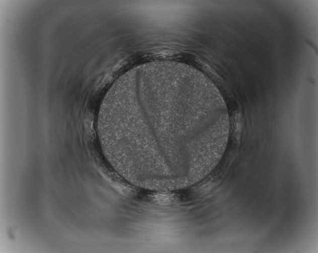 X0000099470615200806061221