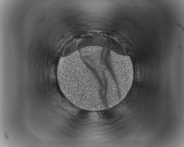 X0000099470616200806061221