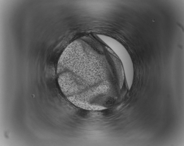 X0000099470617200806061221