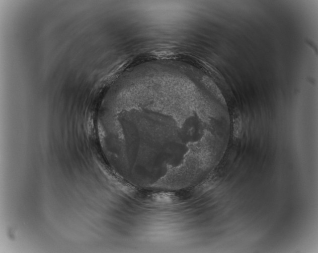 X0000099470618200806061221