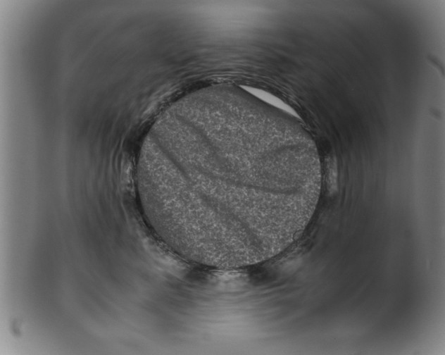 X0000099470619200806061221