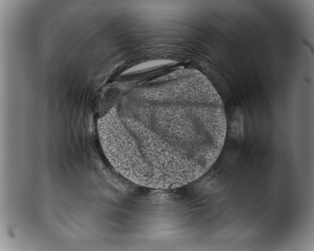 X0000099470620200806061221