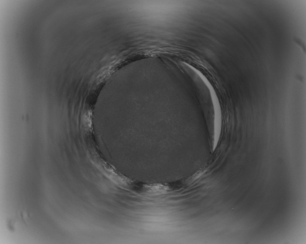 X0000099470621200806061221