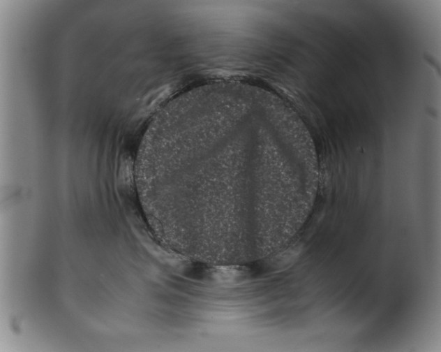 X0000099470623200806061221