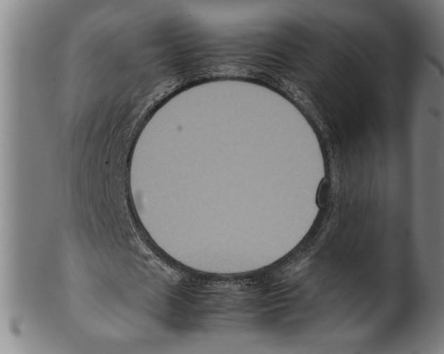 X0000099470625200806061220