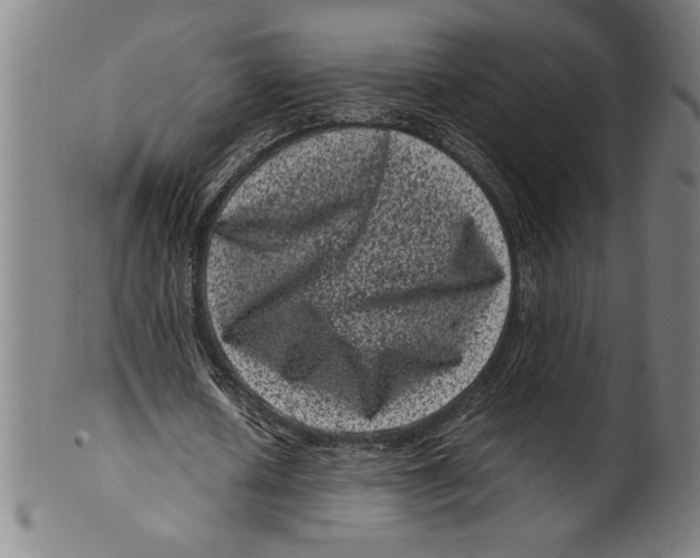 X0000099470626200806061220