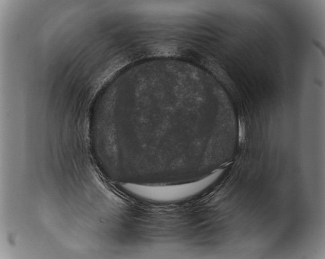 X0000099470627200806061220