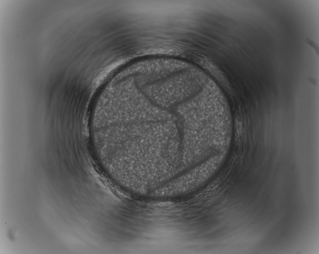 X0000099470628200806061221