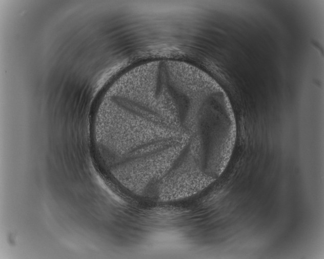 X0000099470630200806061221