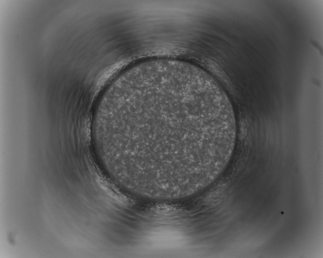 X0000099470632200806061221