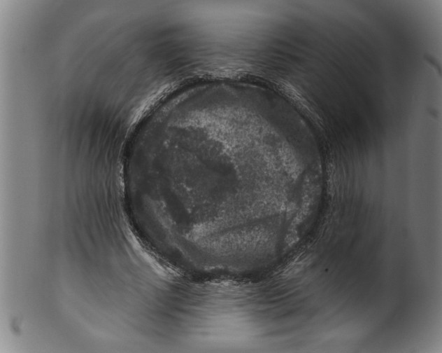 X0000099470634200806061221