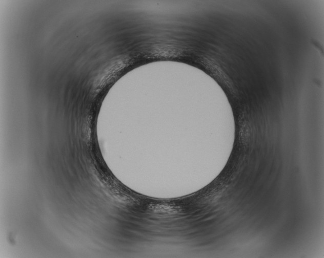 X0000099470635200806061221