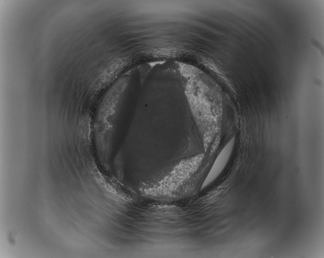 X0000099470637200806061221