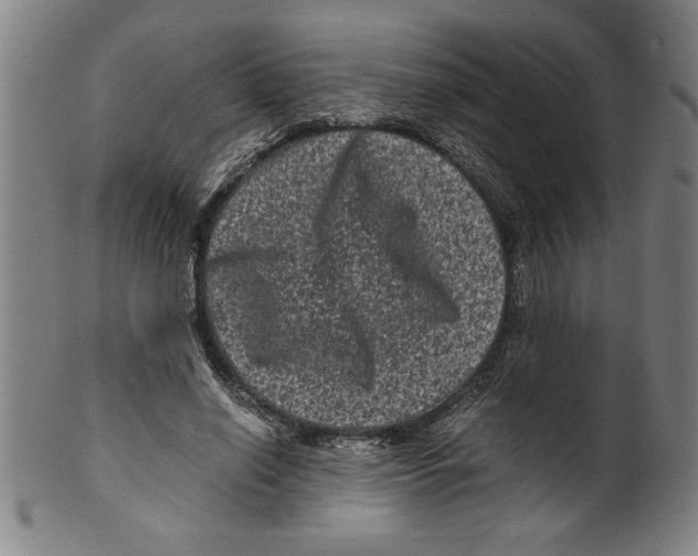 X0000099470638200806061221