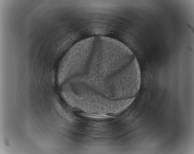 X0000099470639200806061221