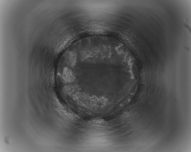 X0000099470642200806061221