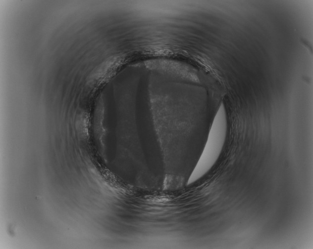 X0000099470643200806061221