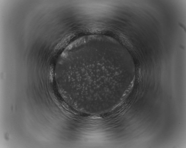 X0000099470644200806061221