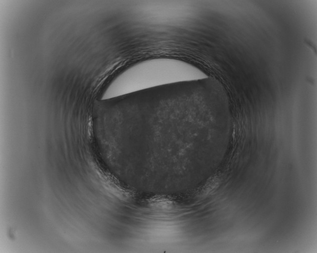 X0000099470648200806061221