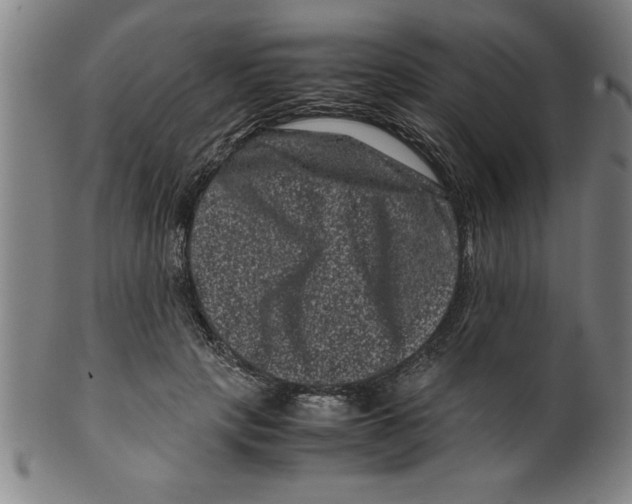 X0000099470649200806061221