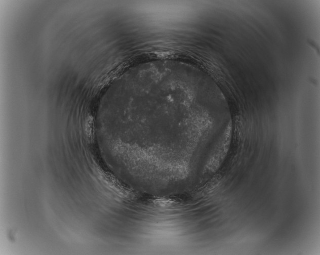 X0000099470650200806061221