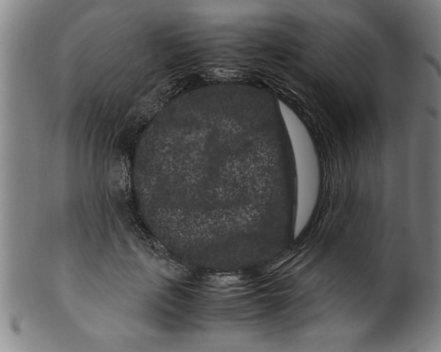 X0000099470651200806061221