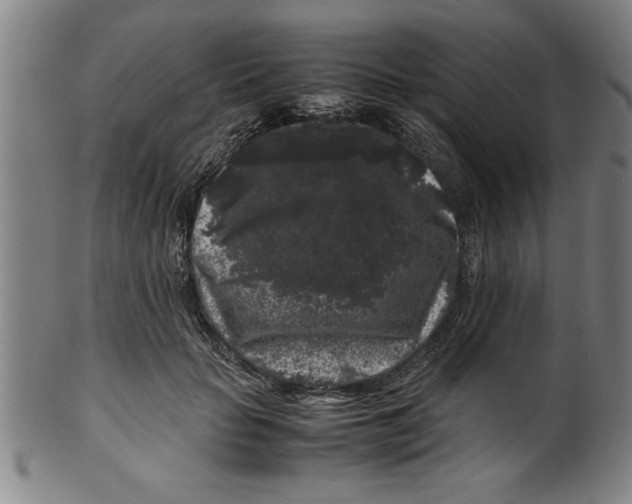 X0000099470653200806061221