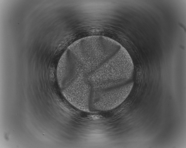 X0000099470654200806061221