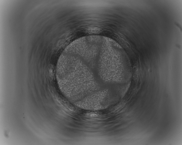 X0000099470655200806061221