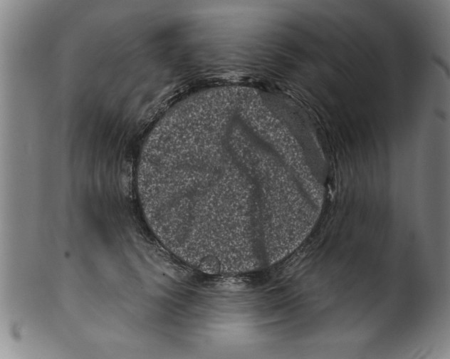 X0000099470656200806061221