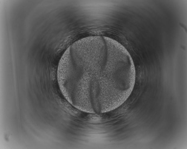 X0000099470658200806061221